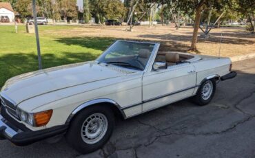 Mercedes-benz-Other-1980-Light-Ivory-Sand-7