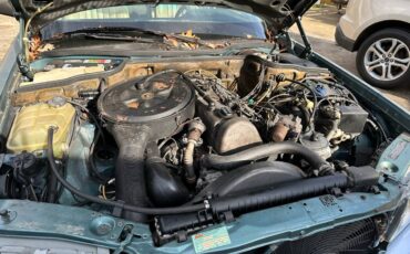 Mercedes-benz-c300-diesel-1985-green-7