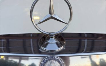 Mercedes-benz-diesel-1979-white-15