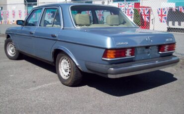 Mercedes-benz-e-class-diesel-1981-blue