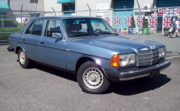 Mercedes-benz-e-class-diesel-1981-blue-6