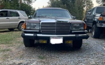 Mercedes-benz-s-class-1976-brown-1