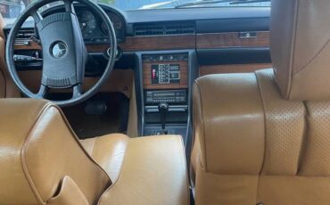 Mercedes-benz-s-class-1976-brown-2