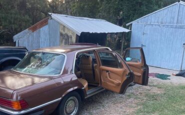 Mercedes-benz-s-class-1976-brown-3