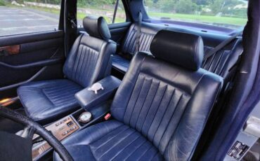 Mercedes-benz-s-class-diesel-1983-blue-6