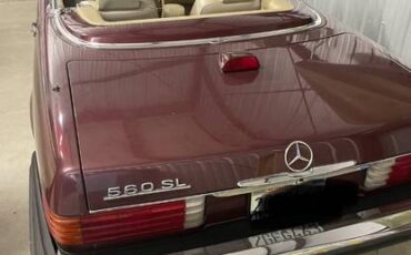 Mercedes-sl560-1987-brown-5