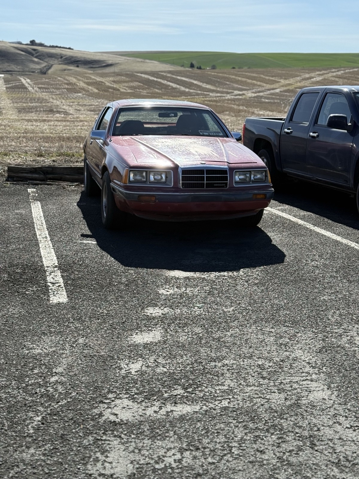 Mercury-Cougar-1984-2