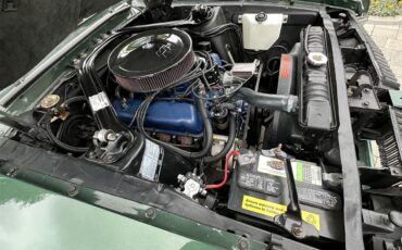 Mercury-Cougar-xr7-1967-Green-Camel-58
