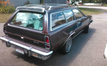 Mercury-bobcat-1977-brown-4