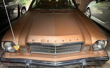 Mercury-bobcat-villager-1975-brown-10