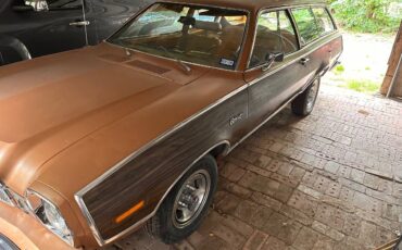 Mercury-bobcat-villager-1975-brown-11