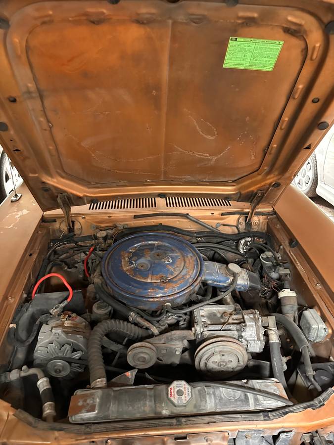 Mercury-bobcat-villager-1975-brown-22
