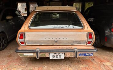 Mercury-bobcat-villager-1975-brown-6