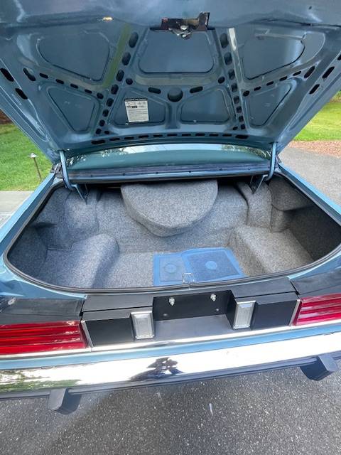 Mercury-grand-marquis-lsmercury-grand-marquis-1982-blue-10