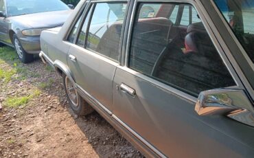 Mercury-zypher-1982-grey-1