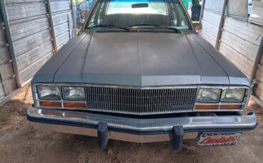 Mercury-zypher-1982-grey