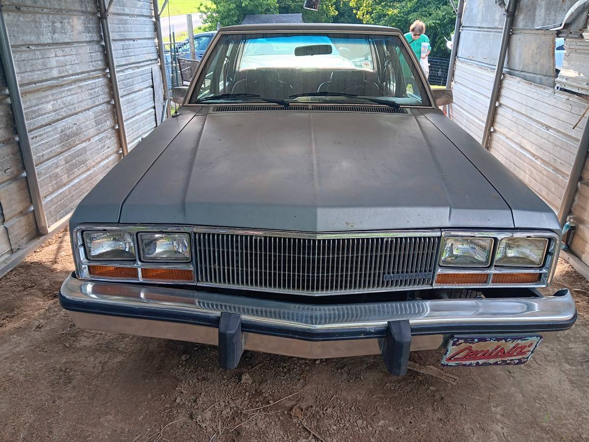 Mercury-zypher-1982-grey