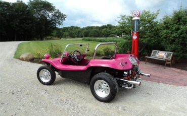 Meyers-manx-Dune-buggy-1968-Rose-Black-1
