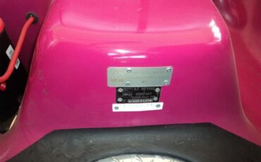 Meyers-manx-Dune-buggy-1968-Rose-Black-15