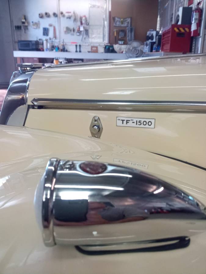 Mg-1500-1955-9