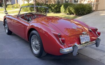 Mg-1600-1960-Red-Tan-6