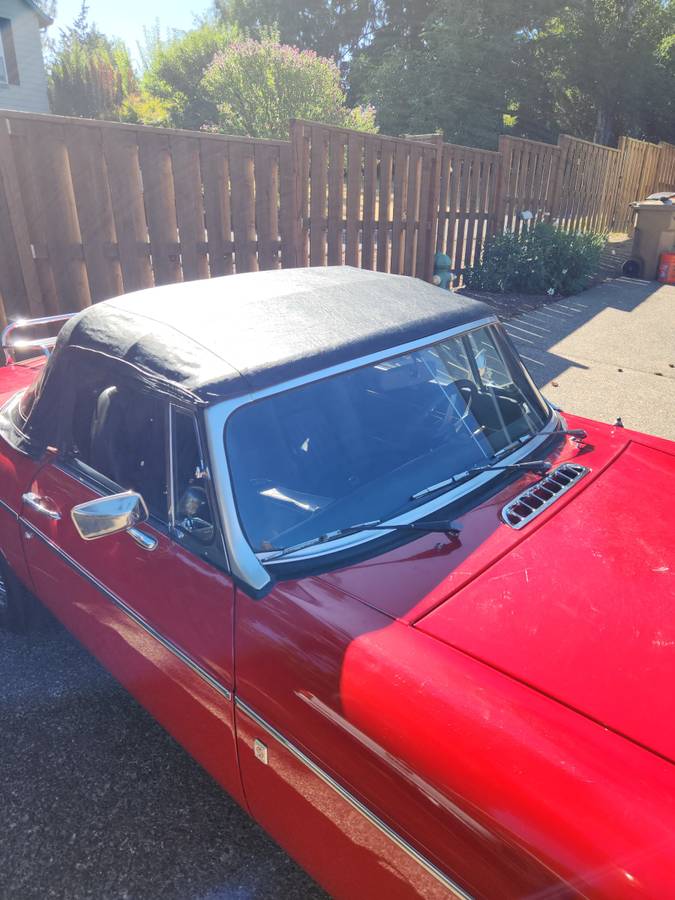 Mg-1976-11