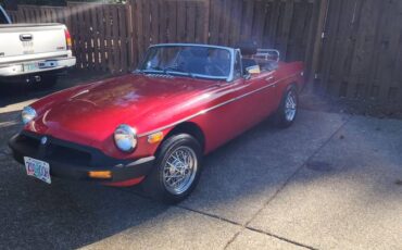 Mg-1976-6
