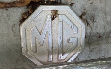 Mg-1977-green