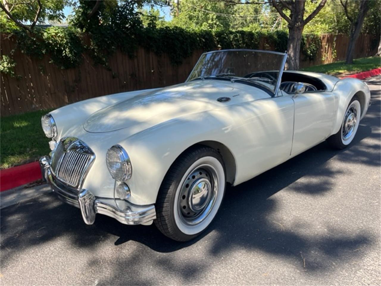 Mg-A-1962-White-Black-1
