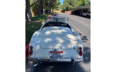 Mg-A-1962-White-Black-12