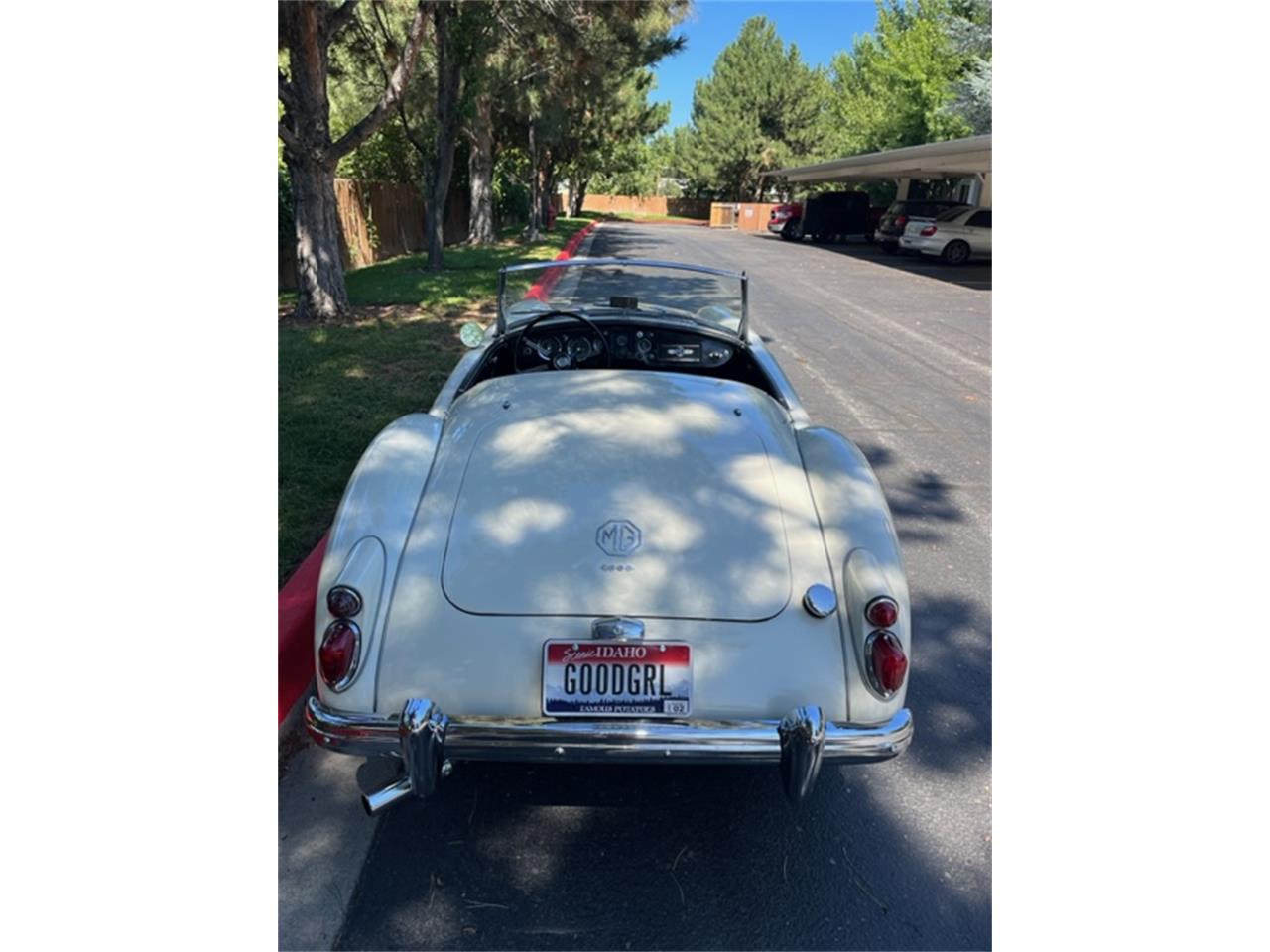Mg-A-1962-White-Black-12