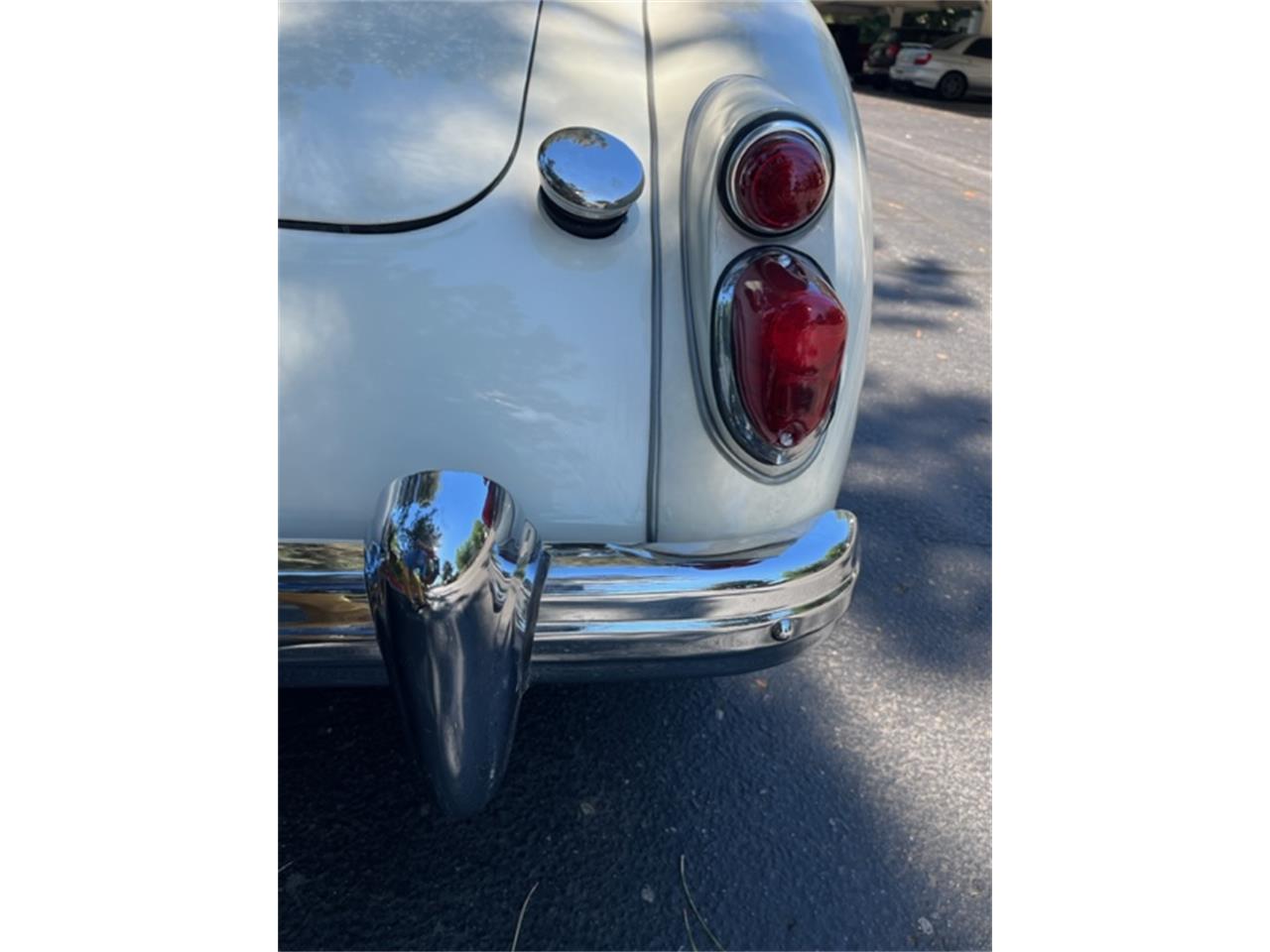 Mg-A-1962-White-Black-18