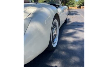 Mg-A-1962-White-Black-19