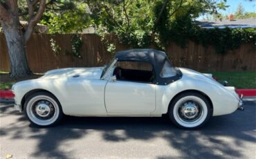 Mg-A-1962-White-Black-20