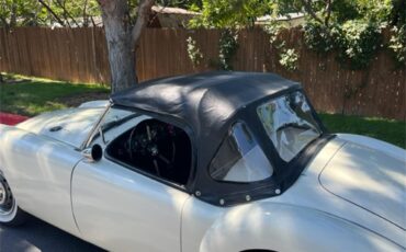 Mg-A-1962-White-Black-21
