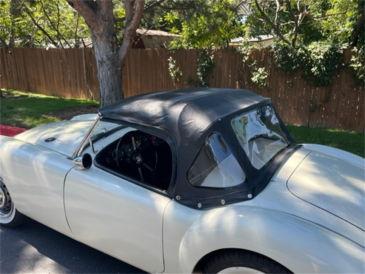 Mg-A-1962-White-Black-21