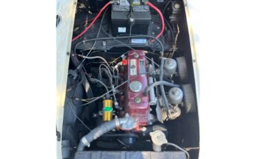 Mg-A-1962-White-Black-23