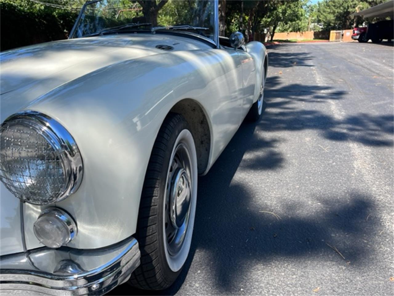Mg-A-1962-White-Black-3