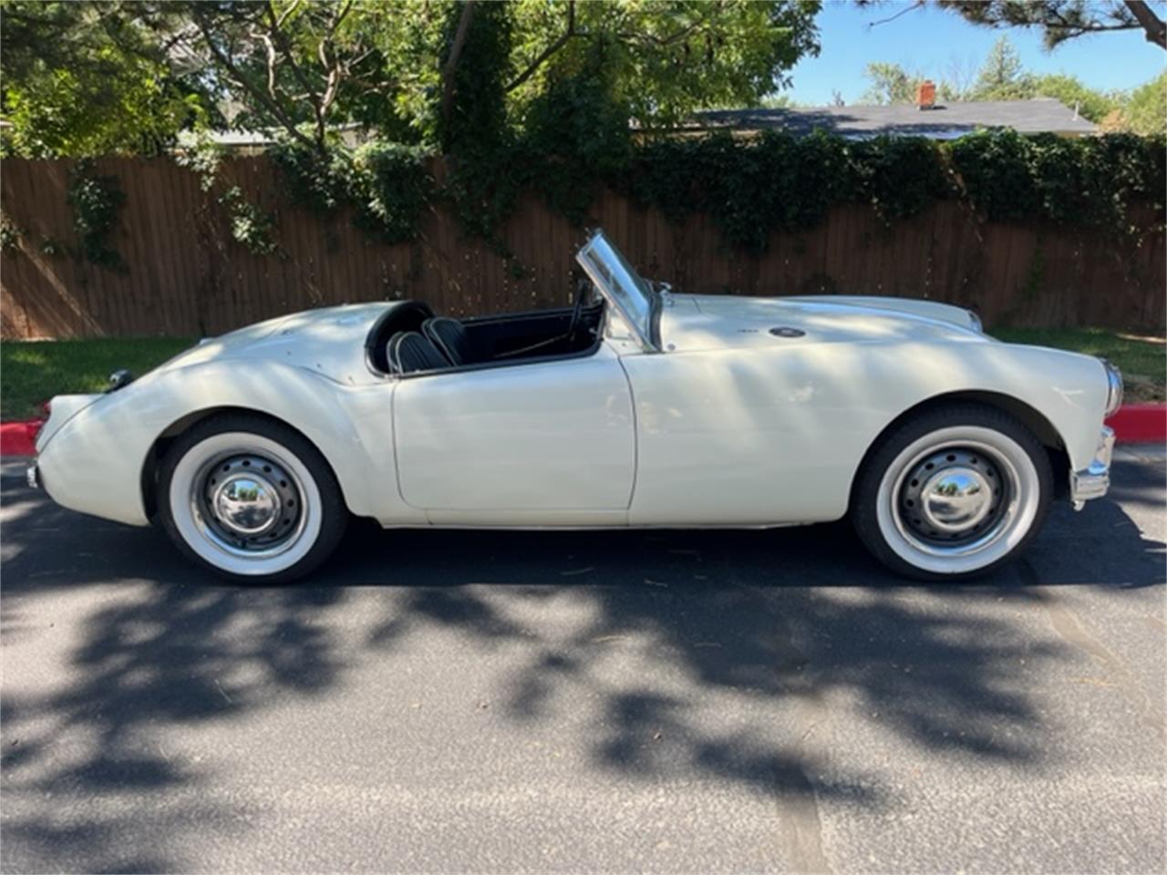 Mg-A-1962-White-Black-4