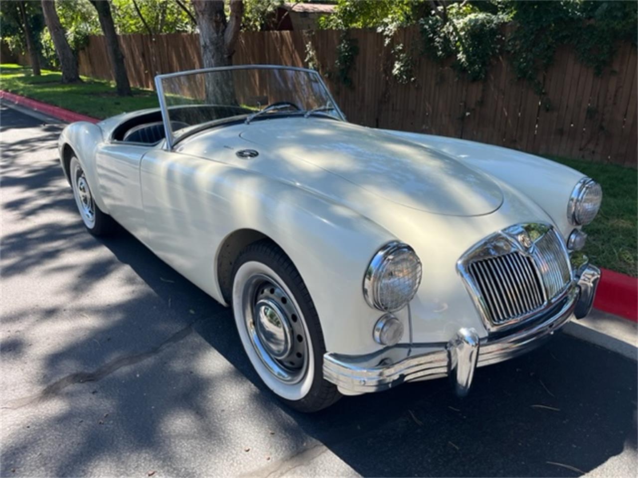Mg-A-1962-White-Black-5