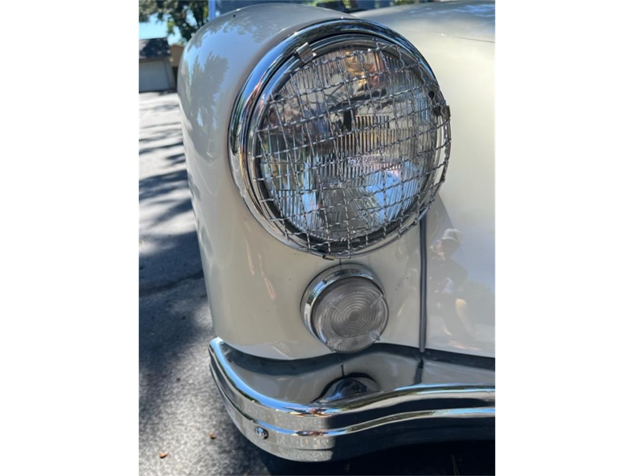 Mg-A-1962-White-Black-6