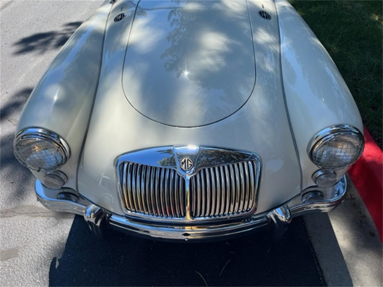 Mg-A-1962-White-Black-8