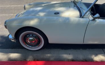Mg-A-1962-White-Black-9