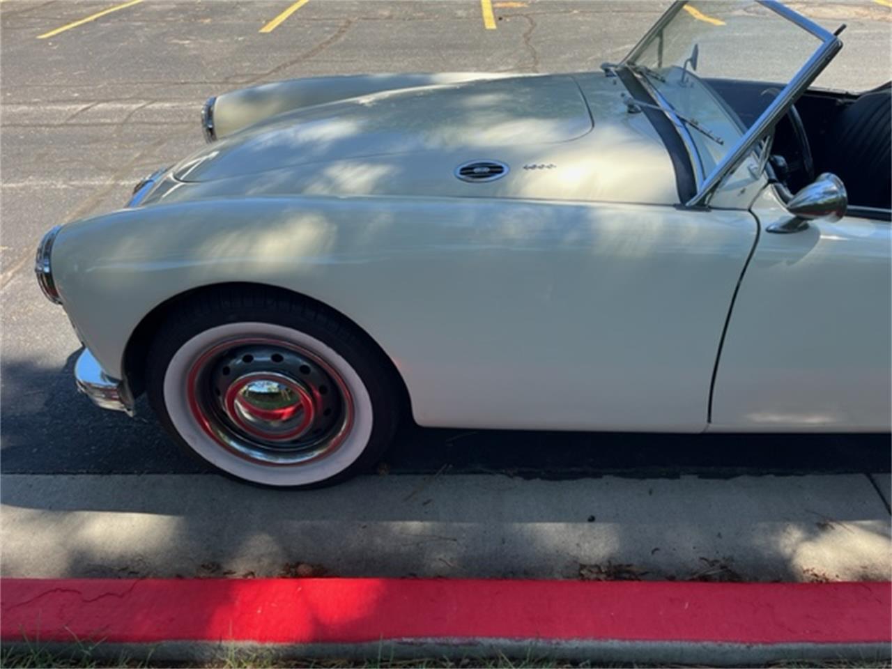 Mg-A-1962-White-Black-9