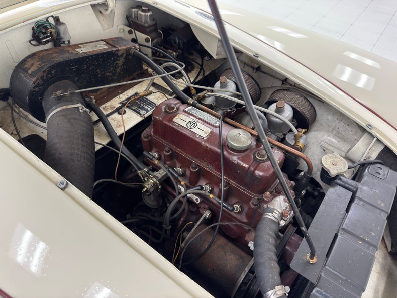 Mg-Other-1961-Old-English-White-Oxblood-18