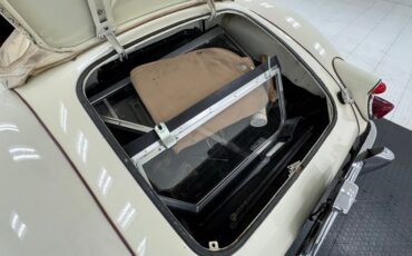 Mg-Other-1961-Old-English-White-Oxblood-39
