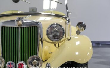 Mg-Td-1952-Beige-Green-33