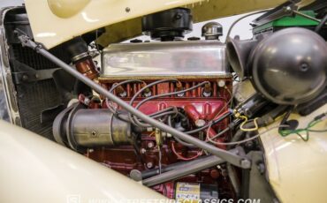 Mg-Td-1952-Beige-Green-36