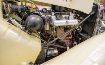 Mg-Td-1952-Beige-Green-37