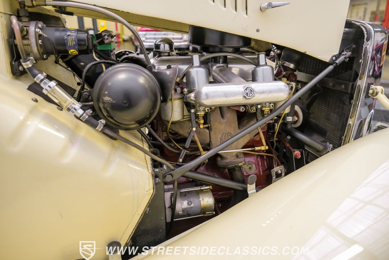 Mg-Td-1952-Beige-Green-37